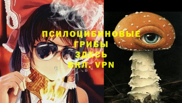 спиды Алексеевка