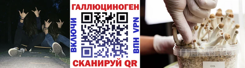 Псилоцибиновые грибы Cubensis  наркотики  мега как зайти  Ковылкино 